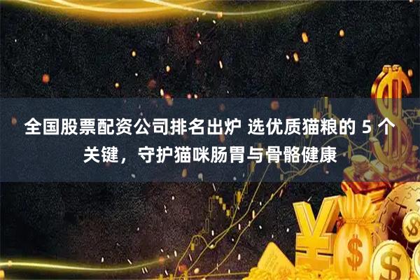 全国股票配资公司排名出炉 选优质猫粮的 5 个关键，守护猫咪肠胃与骨骼健康